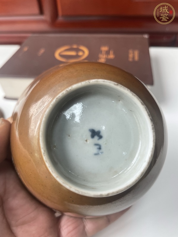 古玩陶瓷外紫金釉內(nèi)青花魚藻紋蓋碗真品鑒賞圖