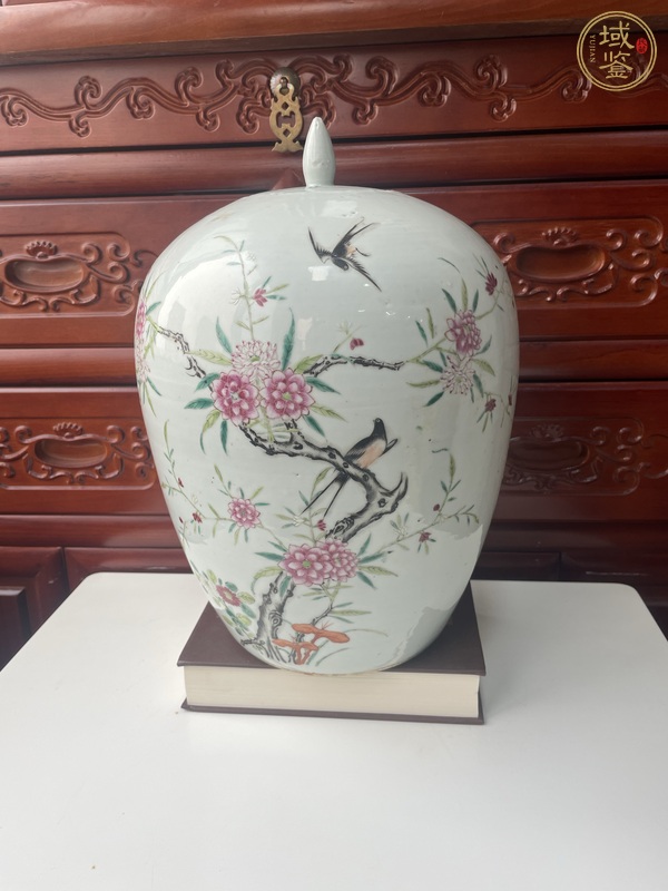 古玩粉彩罐真品鑒賞圖