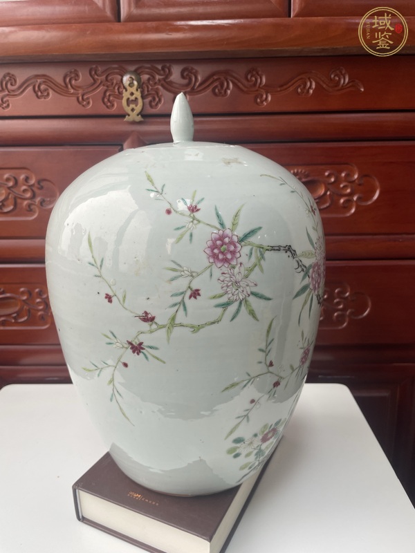 古玩陶瓷粉彩罐真品鑒賞圖