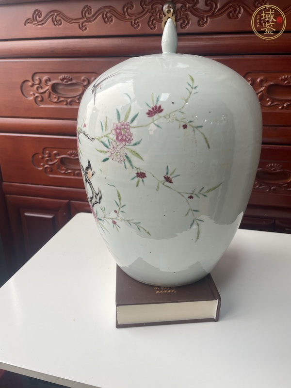 古玩陶瓷粉彩罐真品鑒賞圖