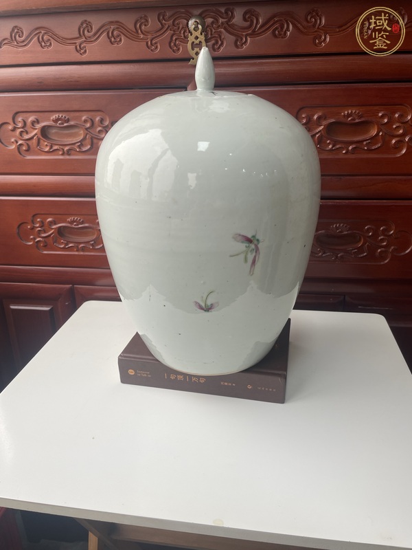 古玩陶瓷粉彩罐真品鑒賞圖
