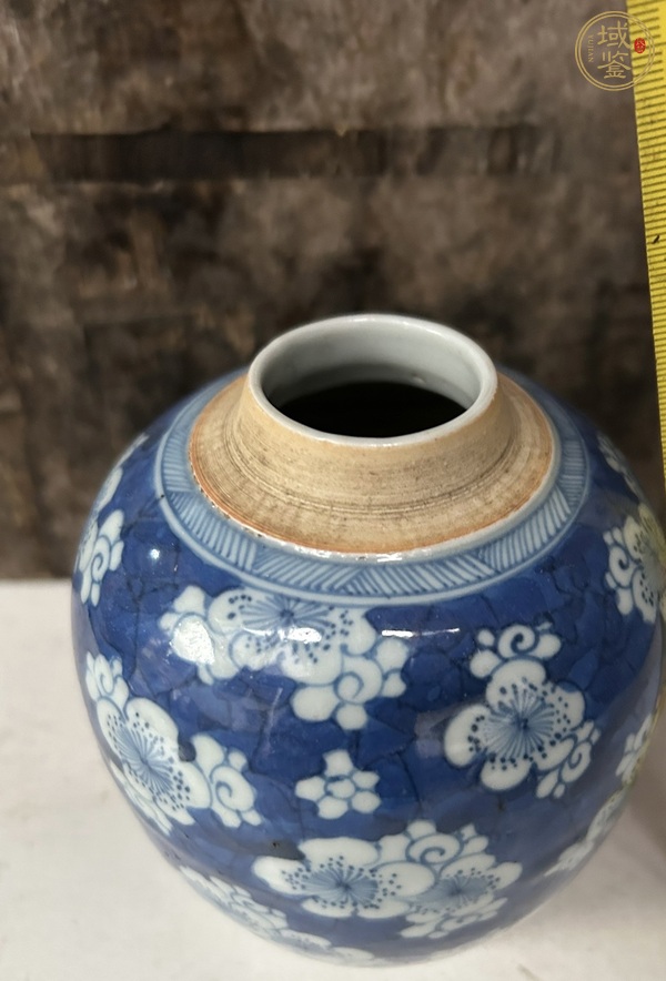 古玩陶瓷青花留白冰梅紋罐真品鑒賞圖