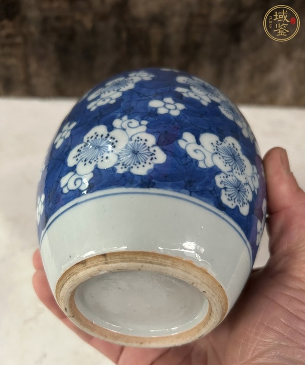 古玩陶瓷青花留白冰梅紋罐真品鑒賞圖