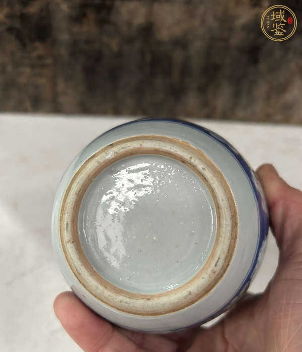 古玩陶瓷青花留白冰梅紋罐真品鑒賞圖