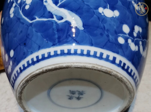 古玩陶瓷青花冰梅罐真品鑒賞圖