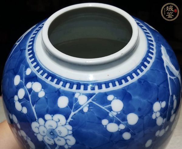 古玩陶瓷青花冰梅罐真品鑒賞圖