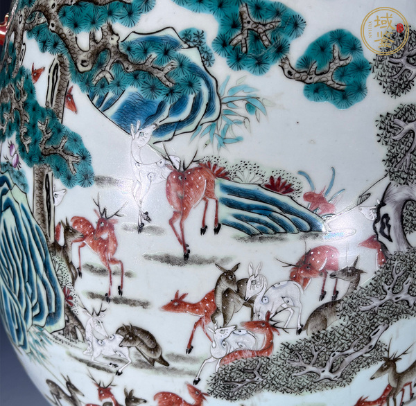 古玩陶瓷粉彩百鹿尊真品鑒賞圖