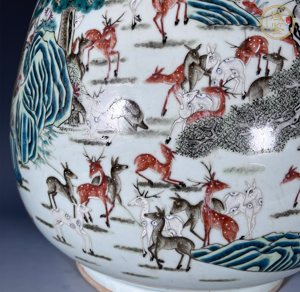 古玩陶瓷粉彩百鹿尊真品鑒賞圖
