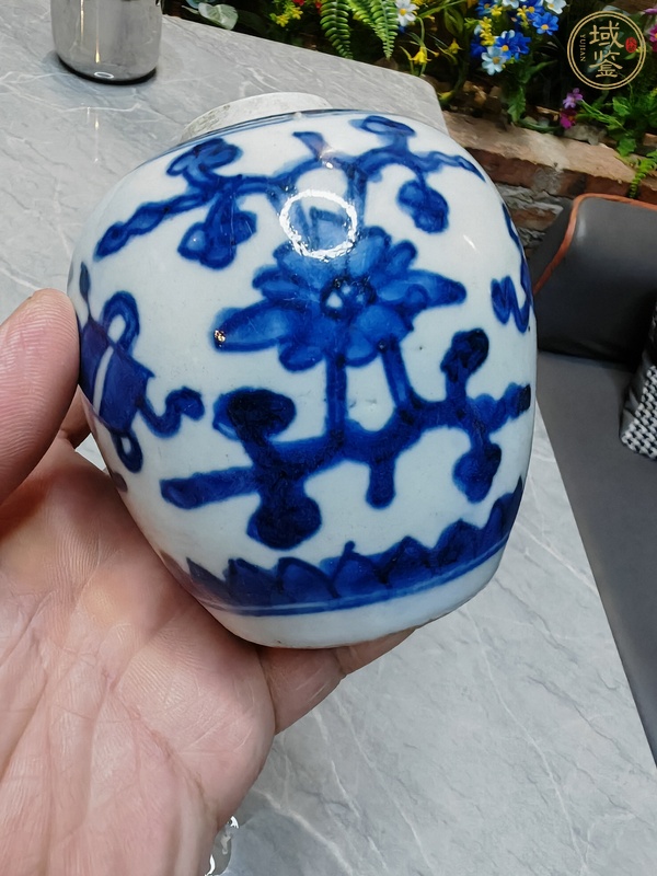 古玩陶瓷青花罐真品鑒賞圖