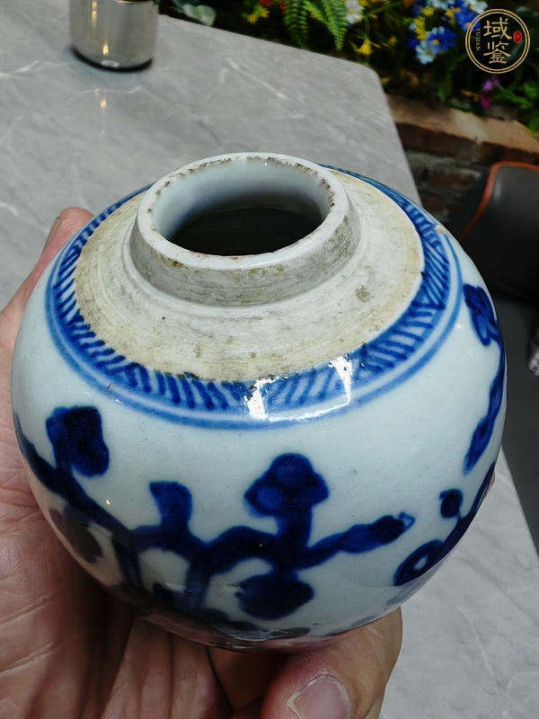 古玩青花罐真品鑒賞圖