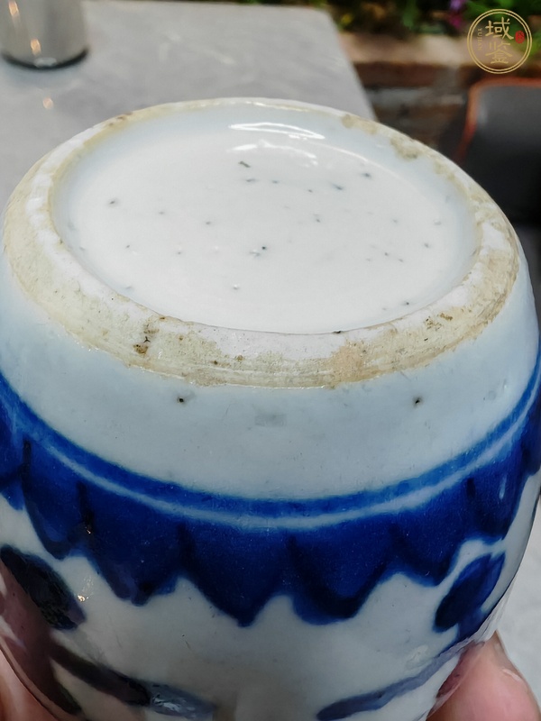 古玩陶瓷青花罐真品鑒賞圖