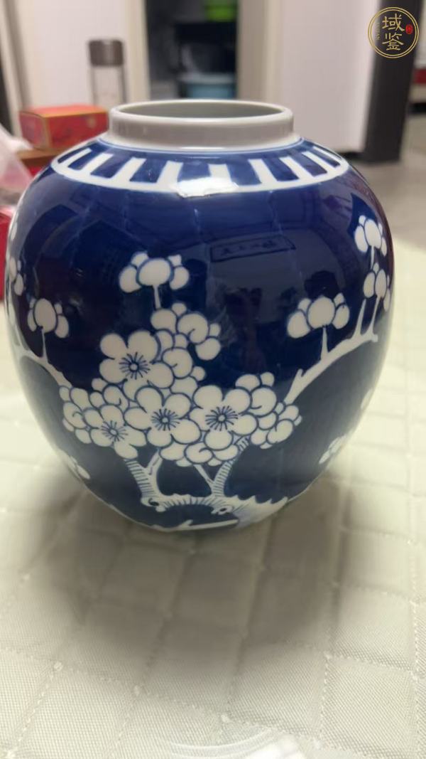 古玩陶瓷青花留白梅紋罐真品鑒賞圖