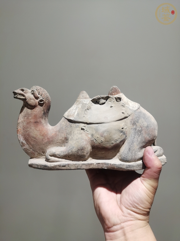 古玩陶瓷陶駱駝?wù)嫫疯b賞圖