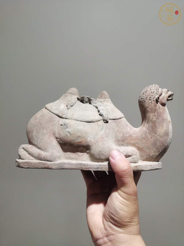 古玩陶瓷陶駱駝?wù)嫫疯b賞圖