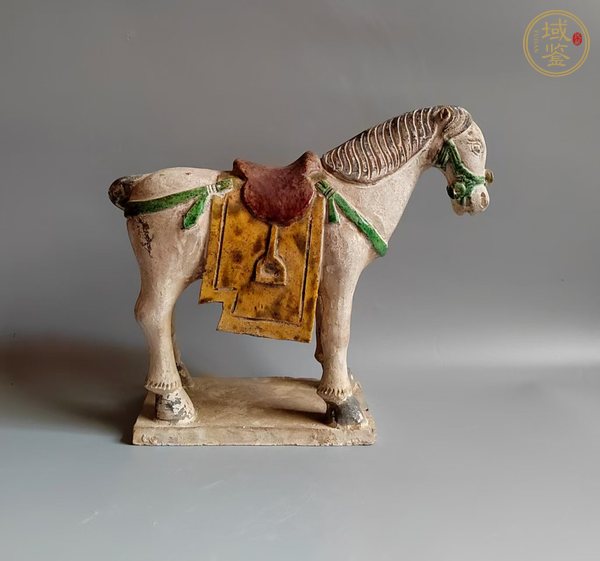 古玩陶瓷明三彩馬真品鑒賞圖