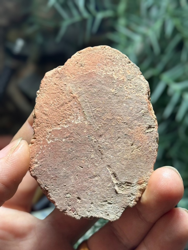 古玩雜項明代.綠度母擦擦(觀音菩薩化身)拍賣，當前價格0元