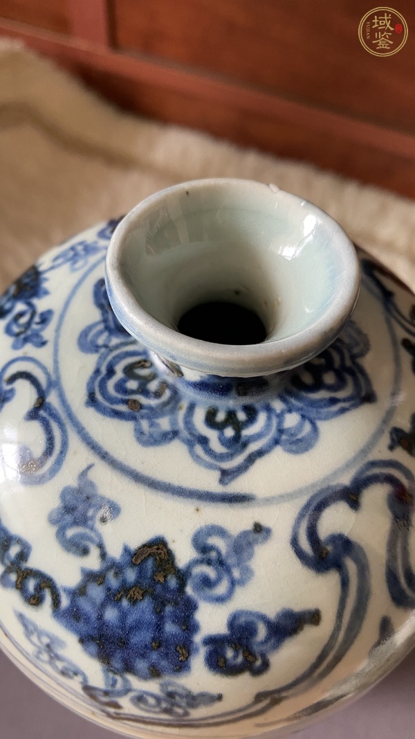 古玩陶瓷明中·青花纏枝花卉紋梅瓶 真品鑒賞圖