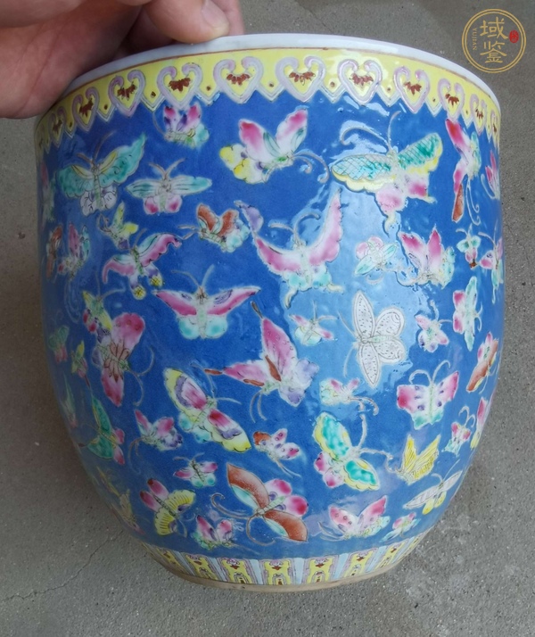 古玩陶瓷粉彩百蝶圖卷缸真品鑒賞圖