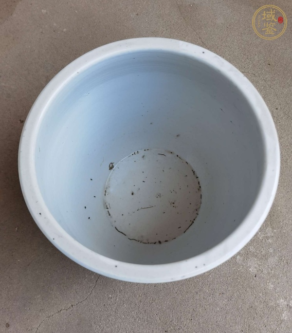 古玩陶瓷粉彩百蝶圖卷缸真品鑒賞圖