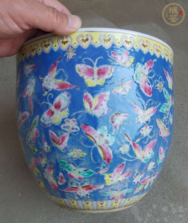 古玩粉彩百蝶圖卷缸真品鑒賞圖
