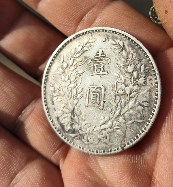 古玩錢幣中華民國八年造袁像壹圓真品鑒賞圖