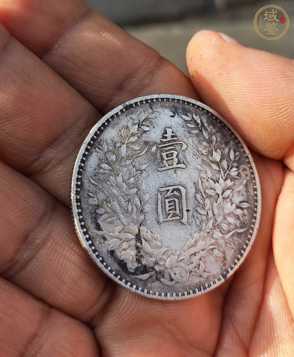 古玩錢幣中華民國八年造袁像壹圓真品鑒賞圖