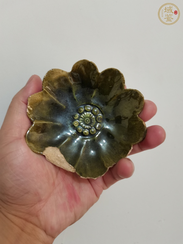 古玩陶瓷綠吉州花卉紋葵口碟真品鑒賞圖