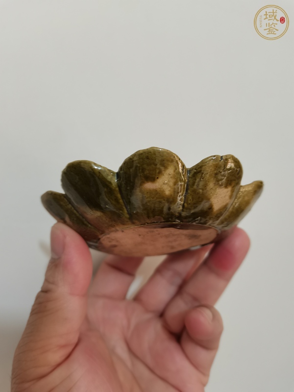 古玩陶瓷綠吉州花卉紋葵口碟真品鑒賞圖