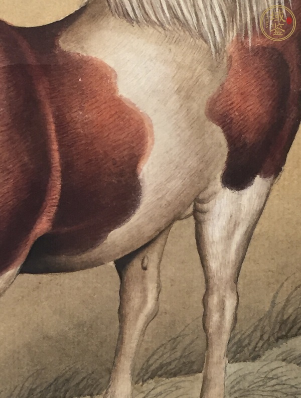 古玩字畫駿馬真品鑒賞圖