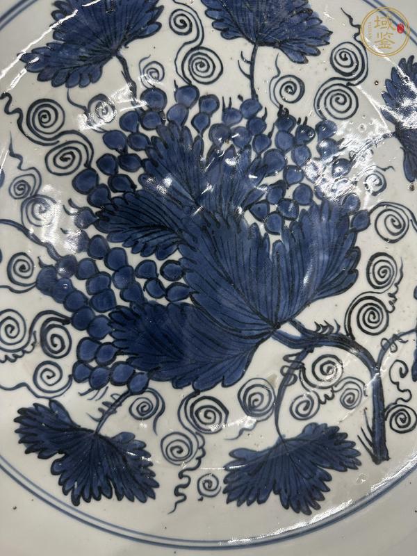 古玩陶瓷明晚期 青花葡萄紋折沿大盤真品鑒賞圖