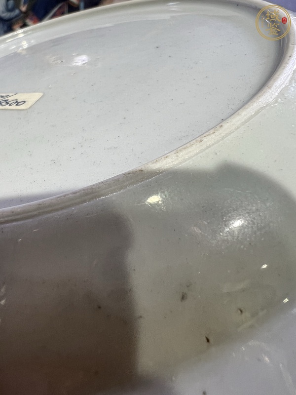 古玩陶瓷粉彩花卉紋盤真品鑒賞圖
