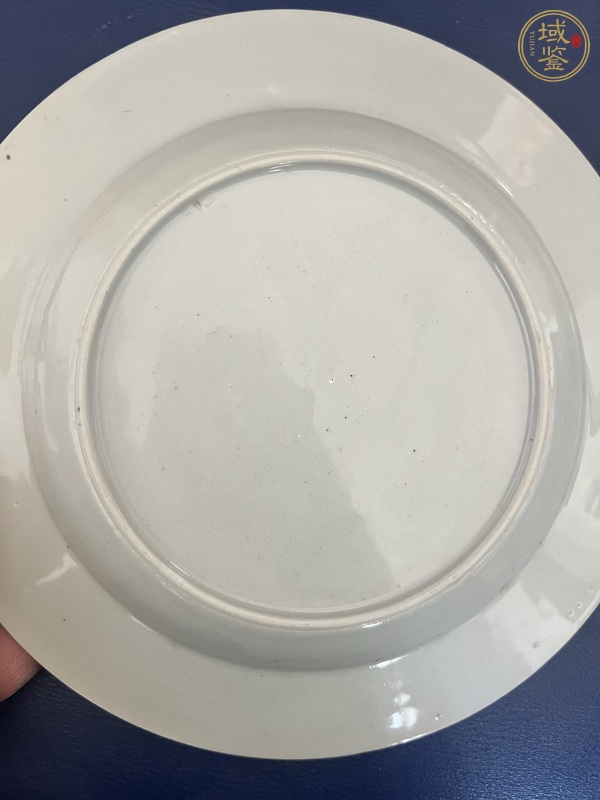 古玩陶瓷粉彩花卉紋盤真品鑒賞圖