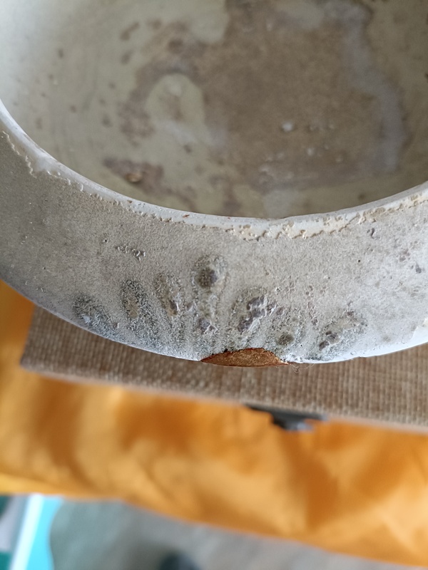 古玩陶瓷館藏級元代青花白釉斂口碟型缽拍賣，當前價格2980元