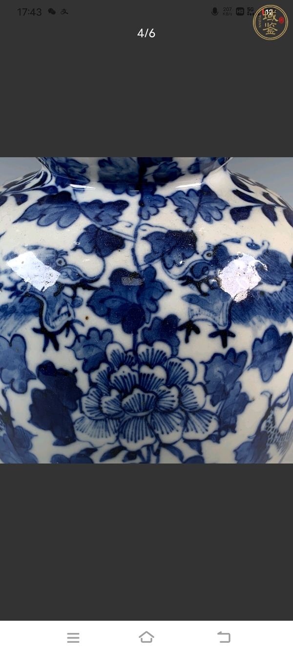 古玩陶瓷晚清青花龍紋穿花葫蘆瓶真品鑒賞圖