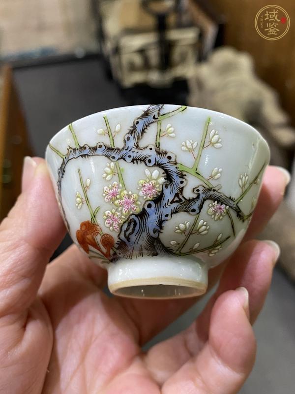 古玩陶瓷梅紋粉彩杯真品鑒賞圖