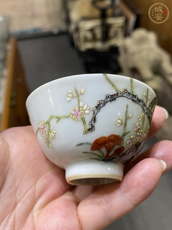 古玩陶瓷梅紋粉彩杯真品鑒賞圖