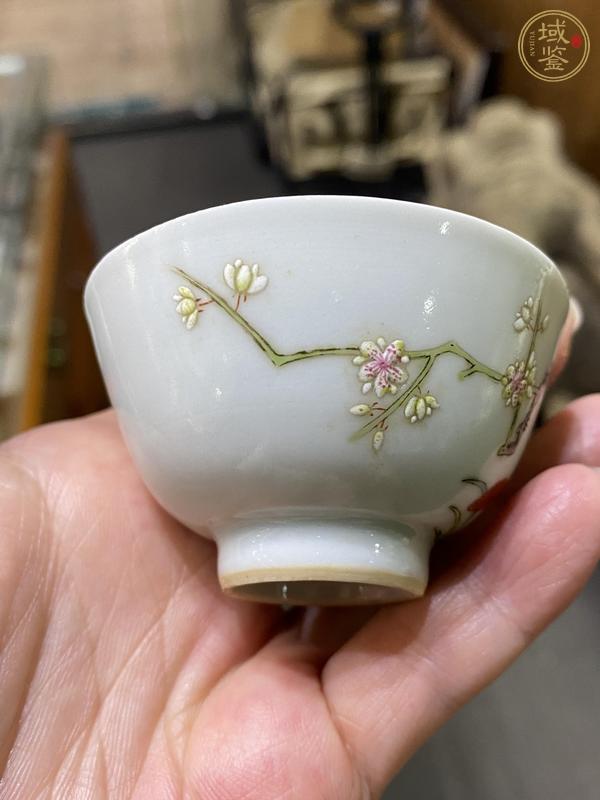 古玩陶瓷梅紋粉彩杯真品鑒賞圖