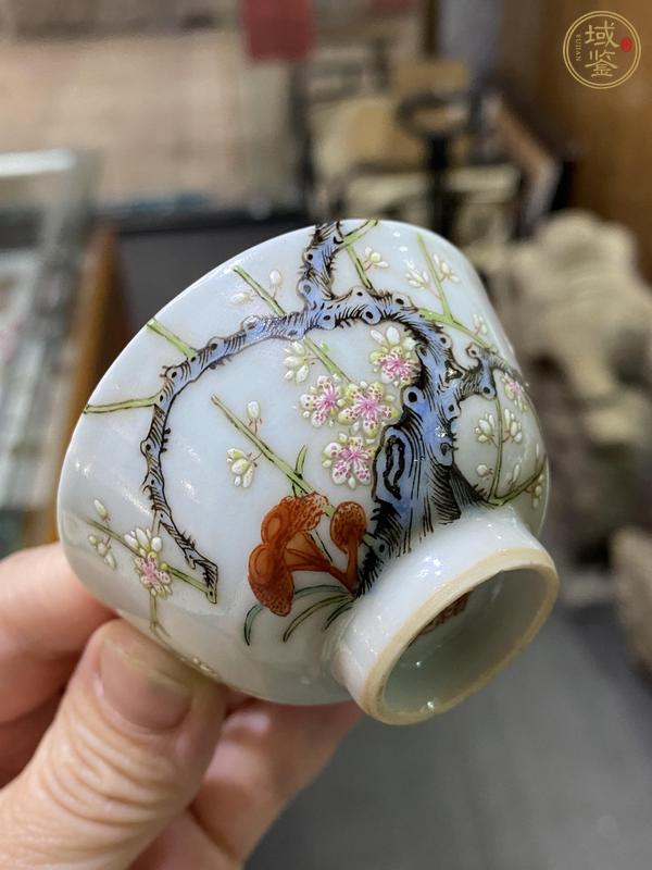 古玩陶瓷梅紋粉彩杯真品鑒賞圖
