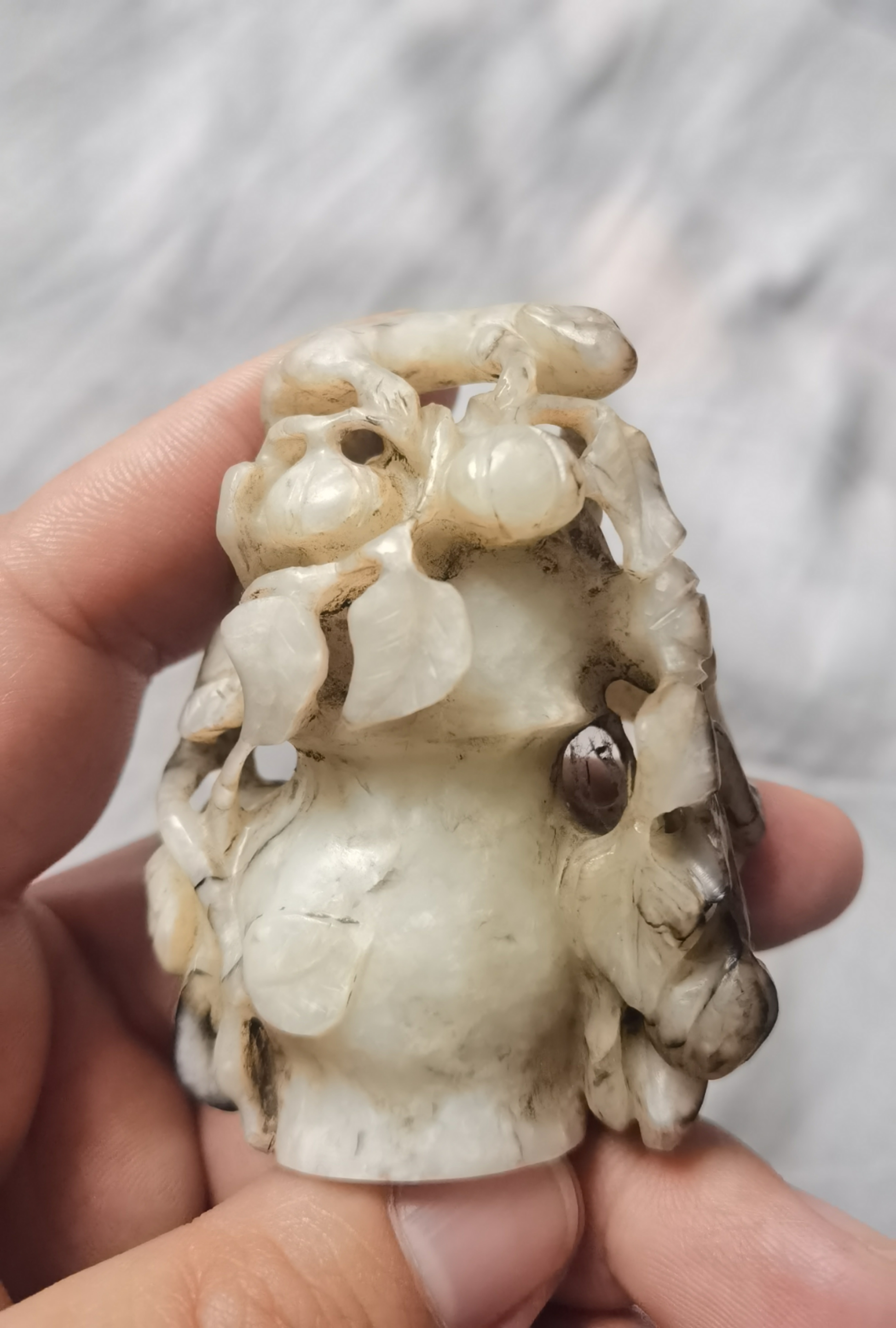 域鑒魚(yú)：云上依舊的店鋪