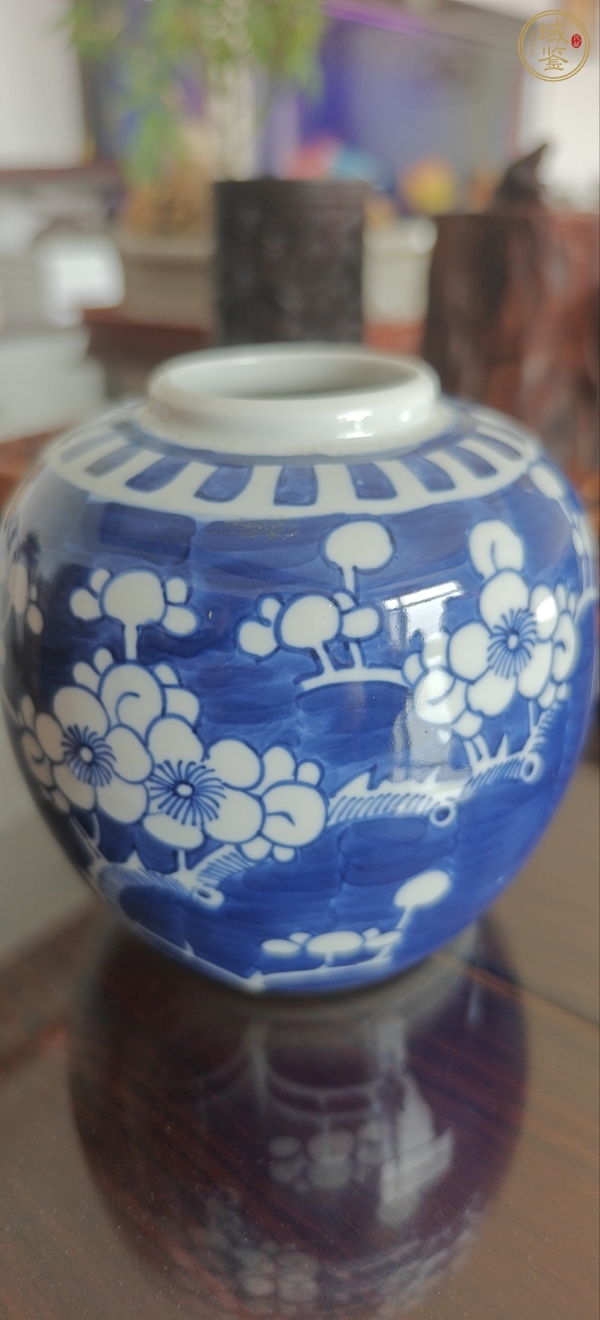古玩青花冰梅罐真品鑒賞圖