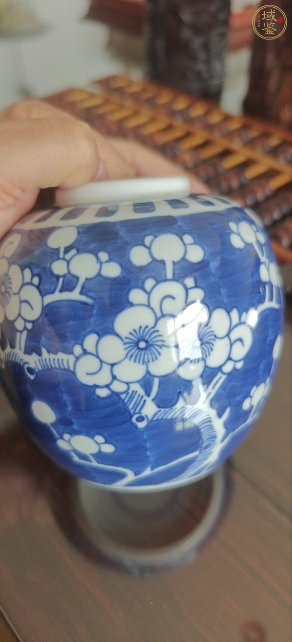 古玩陶瓷青花冰梅罐真品鑒賞圖