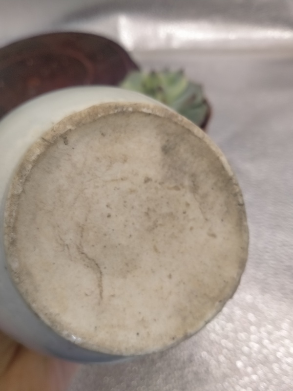 古玩陶瓷明末青白釉三系執(zhí)壺拍賣，當(dāng)前價格99元