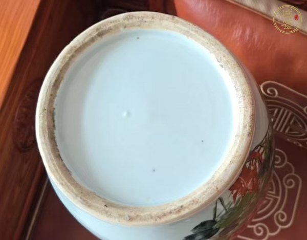 古玩陶瓷淺絳彩花鳥紋雙耳瓶真品鑒賞圖
