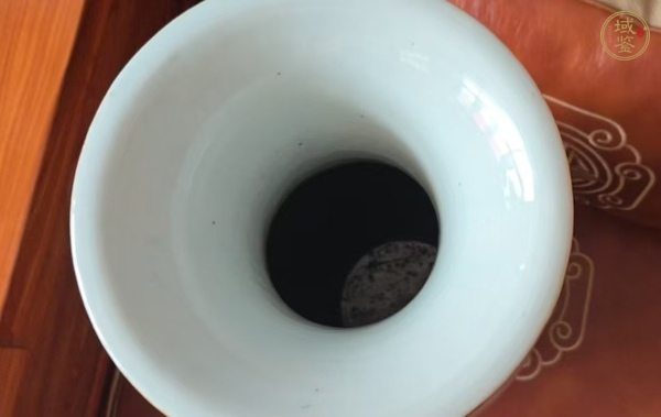 古玩陶瓷淺絳彩花鳥紋雙耳瓶真品鑒賞圖