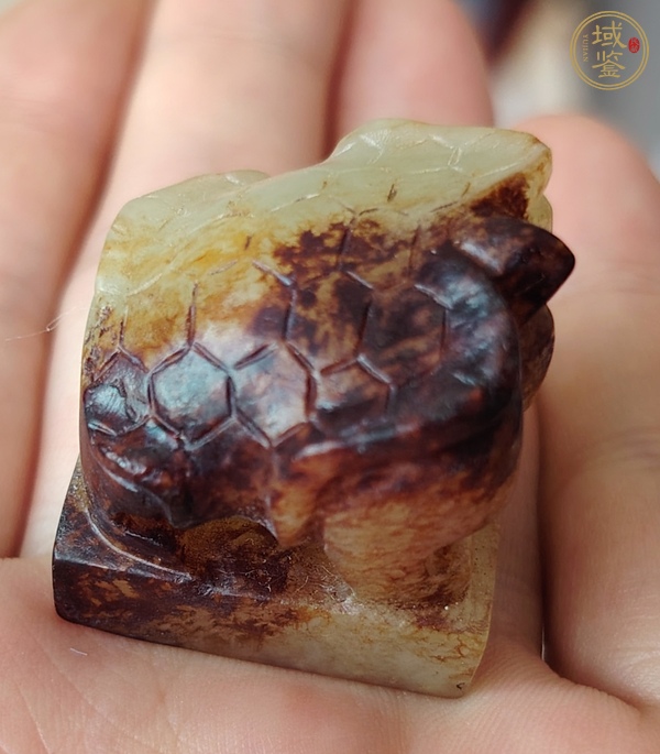 古玩玉器龜扭玉印真品鑒賞圖