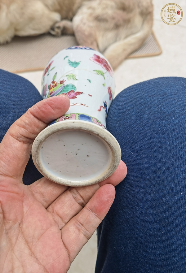 古玩陶瓷雍正粉彩瓶真品鑒賞圖