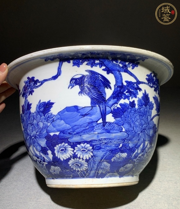 古玩花鳥紋青花花盆真品鑒賞圖