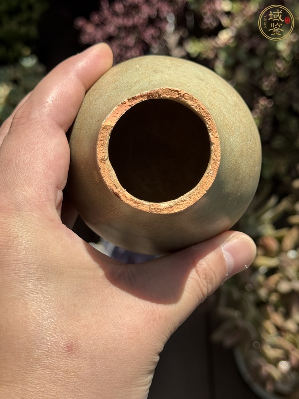 古玩陶瓷龍泉青瓷截口瓶真品鑒賞圖