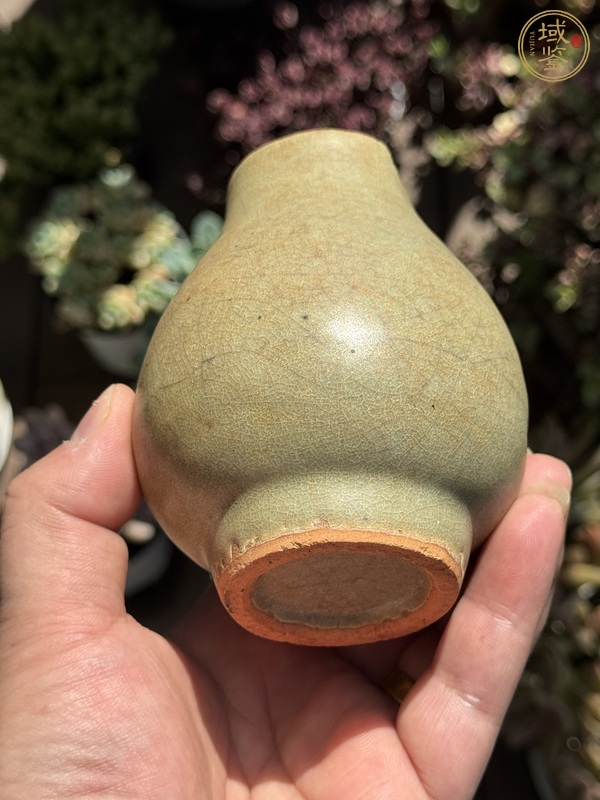 古玩陶瓷龍泉青瓷截口瓶真品鑒賞圖