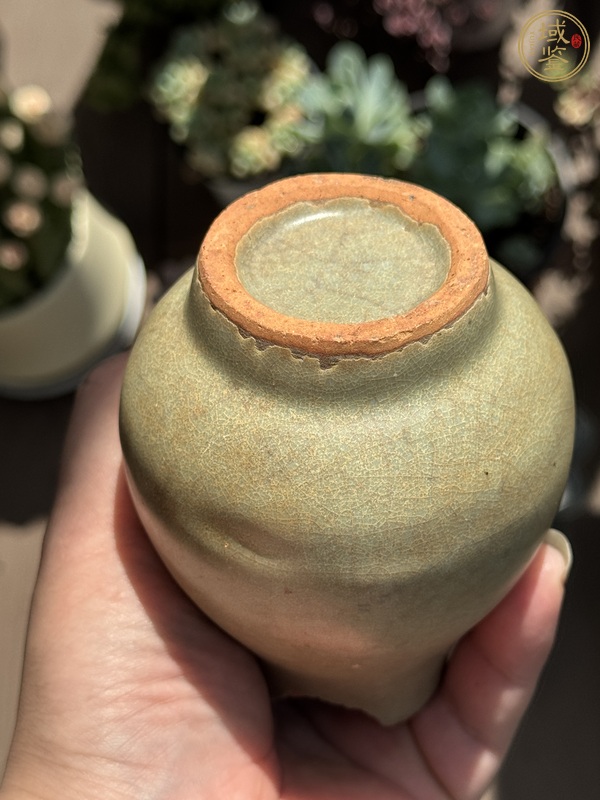 古玩陶瓷龍泉青瓷截口瓶真品鑒賞圖